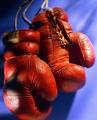 boxing pictures, boxing, famous boxing quotes, boxing quotes, sports quotes, inspirational sports quotes boxing pictures, boxing, famous boxing quotes, boxing quotes, sports quotes, inspirational sports quotes