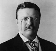 theodore roosevelt, theodore roosevelt picture, theodore roosevelt quotes, teddy roosevelt quotes, roosevelt quotes, theodore roosevelt quotations, roosevelt, roosevelt picture, famous quotes,