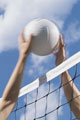 volleyball pictures, volleyball, volleyball motivational quotes, volleyball quotes, inspirational sports quotes, sports quotes, famous sports quotes, motivational sports quotes, volleyball pictures, volleyball, volleyball motivational quotes, volleyball quotes, inspirational sports quotes, sports quotes, famous sports quotes, motivational sports quotes,
