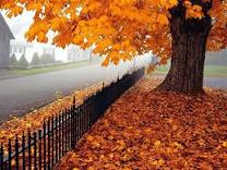 autumn quotes, quotes about autumn, autumn quotations, autumn picture, fall quotes, fall pictures, autumn quotes, quotes about autumn, autumn quotations, autumn picture, fall quotes, fall pictures,