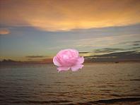 love pictures, love songs, love song quotes, love quotes from songs, song quotes, inspirational quotes, famous quotes, motivational quotes, love pictures, love songs, love song quotes, love quotes from songs, song quotes, inspirational quotes, famous quotes, motivational quotes,